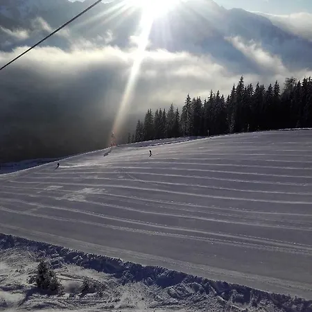 Heiss * クライナル